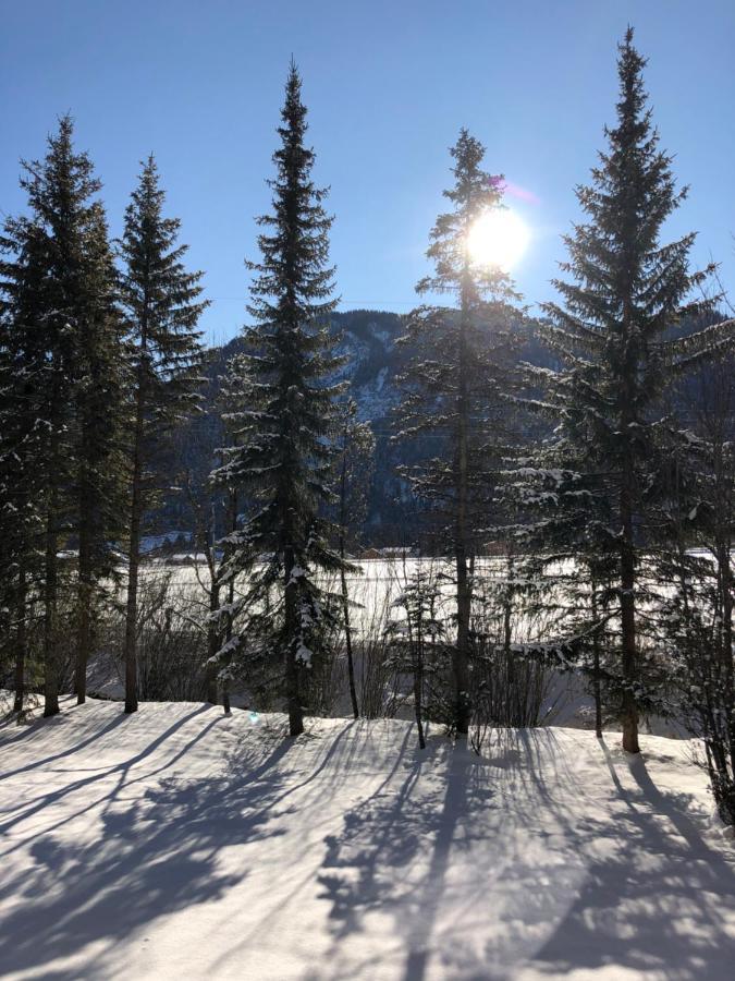 Karwendel-Lodge شارنيتز المظهر الخارجي الصورة